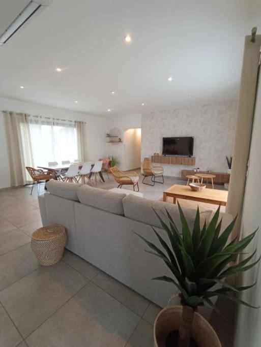 Villa Des Rives Du Tarn Avec Jacuzzi Montans Zewnętrze zdjęcie