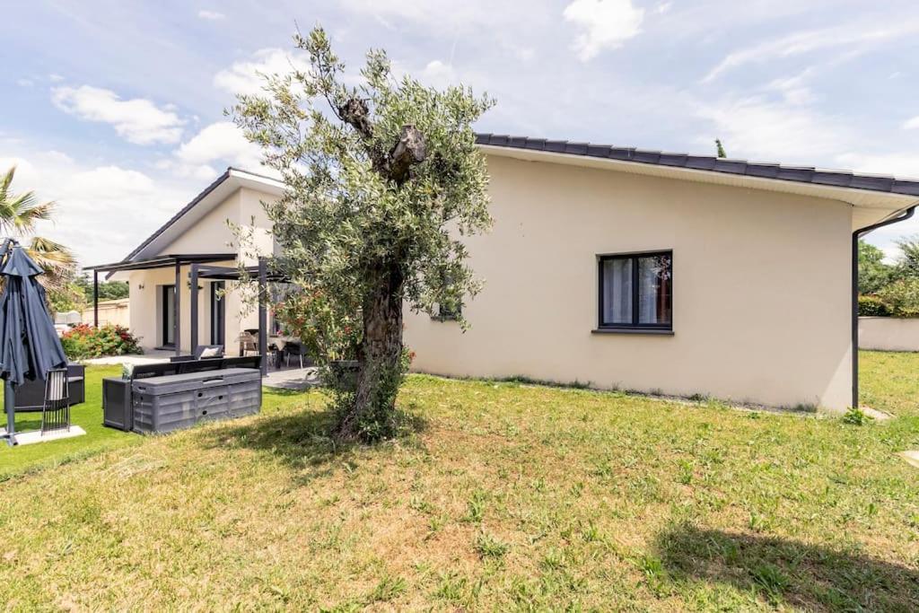 Villa Des Rives Du Tarn Avec Jacuzzi Montans Zewnętrze zdjęcie