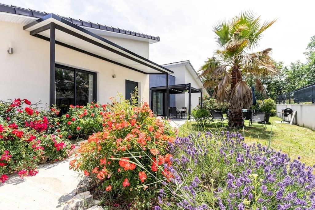 Villa Des Rives Du Tarn Avec Jacuzzi Montans Zewnętrze zdjęcie